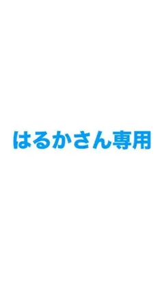 【はるかさん専用】