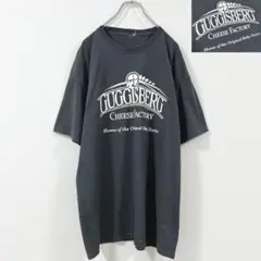 XL相当・スイスチーズ・ガギスベルクチーズ・ベイビースイス・US古着・Tシャツ