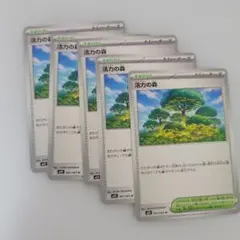 活力の森 U 5枚