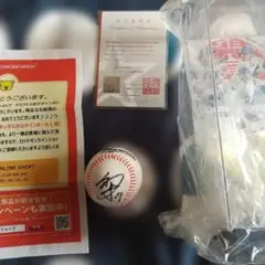 Item thumbnail for item 08547f36-2946-4caa-be25-1f41b1341844