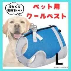 Item thumbnail for item f27a55dd-1928-4694-83c9-4836ca25ce37