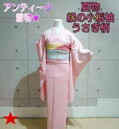 1305.夏物 絽 小振袖 二尺袖 バチ衿 うさぎ 夏着物 アンティーク 正絹
