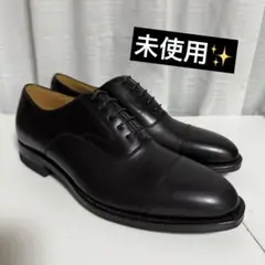 ⭐️未使用⭐️　REGAL　ビジネスシューズ　JU18　ストレートチップ　黒