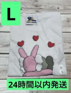 【新品】Lサイズ　ユニクロ　カウズ+ウォーホルUT コラボTシャツ ②