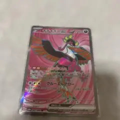 キチキギスex SR