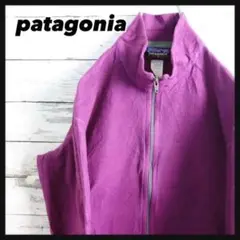 【超人気!!】patagonia パタゴニア フリースジャケット パープル紫2