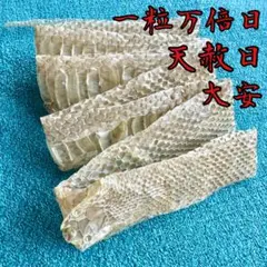 ヘビの抜け殻