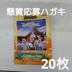 懸賞応募ハガキ　20枚　キリン　ビバ！ドリーム　キャンペーン　用紙　台紙
