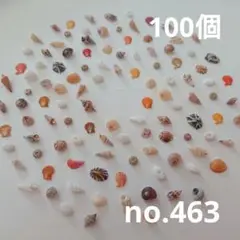 no.463 ウニ殻と天然ミニ貝殻 セット