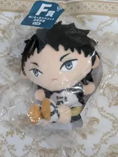 ハイキュー!!　赤葦　ぬいぐるみ　ぬいもっちマスコット