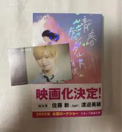 【入場者特典付き】青春ゲッシュタルト崩壊　小説　丸井とまと　IMP. 佐藤新