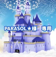 ⭐️ PARASOL★様　専用