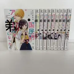 国民的アイドルが弟になったら