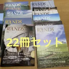 WANDS 2021/12-2024/4 22冊セット　No431-No452