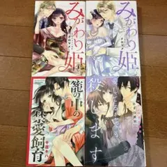 みがわり姫 禁断のカラダ契約　みがわり姫 永遠のカイカン契約　他2冊