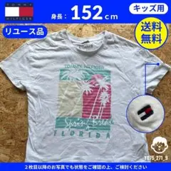【 TOMMY HILFIGER 】（152）リユース品：FLORIDA柄