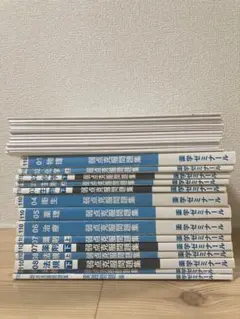 薬学ゼミナール　白問　1年コース 薬ゼミ1年コース 第110回薬剤師国家試験対策 弱点克服問題集 白