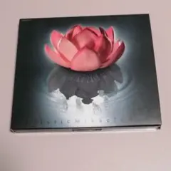ナルキッソス CD + DVD 帯付き