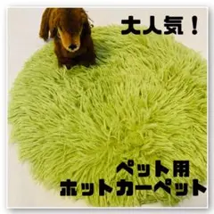 Item thumbnail for item 4de7c7d2-6a6e-4098-a912-0f894afb47db