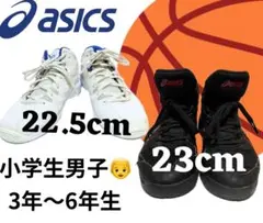 Item thumbnail for item 4c1d9cb7-f079-4511-ab90-2402290f96ac