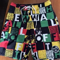 VANS カラフル サーフパンツ
