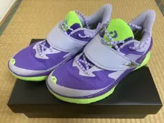 Item thumbnail for item 4b9db31c-72e7-4448-8079-e3d7752ea100