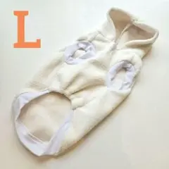 Item thumbnail for item 43ede158-dd16-449b-bc41-9b5da9b78999