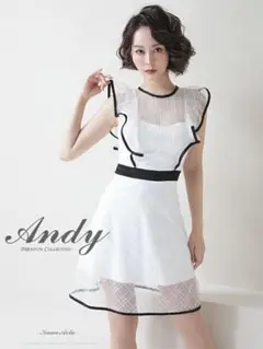 Andy プレミアムコレクション フレアドレス