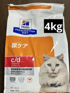 Item thumbnail for item 76a91569-71a9-4ba1-8fda-09ed3b491e6f