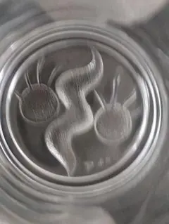 太陽の塔 大阪万博 グラス