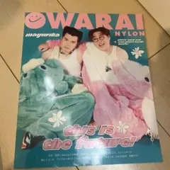 OWARAI NYLON お笑い ナイロン マユリカ　フォトカード付き