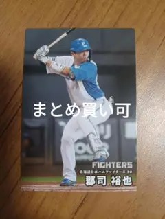 郡司裕也 カルビープロ野球チップス 2025 まとめ買い可
