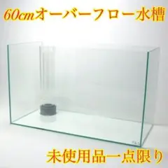 送料込み 60cmオーバーフロー水槽