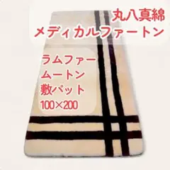 Item thumbnail for item 1c55a4bc-527b-4863-819a-8b6e35d28b1c