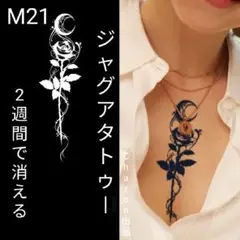 Item thumbnail for item 468f569c-80c6-45a8-8127-dd7c32966fa7