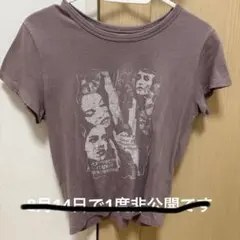 Hollister 半袖Tシャツ パープル 100%コットン