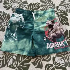 ジュラシック・ワールド 水着 男の子用