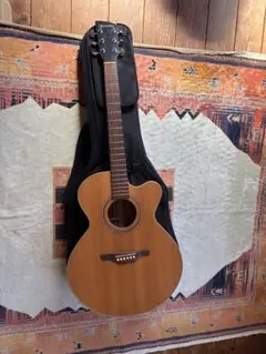 AH181　History　アコースティックギター　ケース付き HISTORY / ヒストリー アコースティックギター | 島村楽器
