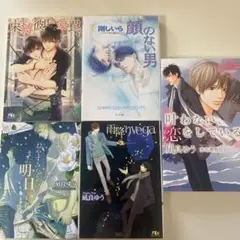 BL小説　凪良ゆう　 叶わない、恋をしている　おやすみなさい、また明日　セット