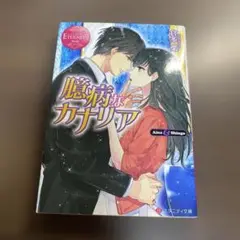 臆病なカナリア⭐️オススメ‼️