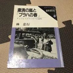 粛清の嵐と「プラハの春」　岩波ブックレット