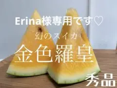 Erina様専用です♡