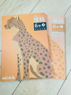 四谷大塚　予習シリーズ　理科　6年下　有名校対策