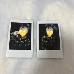 まさむね 碓氷政宗 チェキ