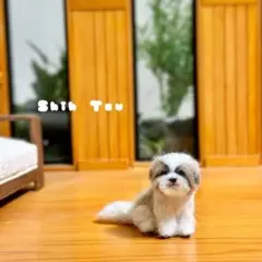 Item thumbnail for item ba94e49a-546b-49d8-895c-06e5ac1b2d69