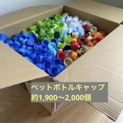 大量　ペットボトルキャップ