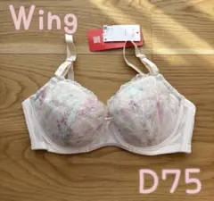 Item thumbnail for item d6f32468-6c32-4731-a075-83813d83e79e