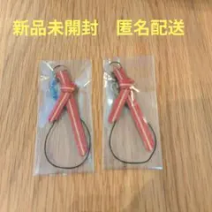 新品未開封　沖縄お守りサン　ミニストラップ2個セット