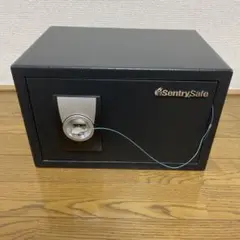SENTRY (セントリー) 金庫 家庭用 鍵付き 16.4L B5 X055K