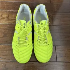 asics アシックス　DSライトX-FLY PRO L.E. 27cm
